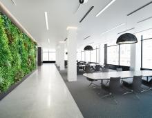 Green wall inside office